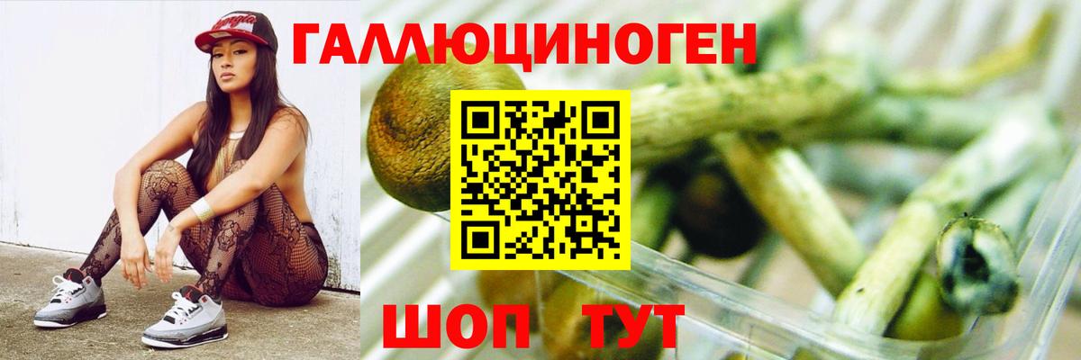 Псилоцибиновые грибы мицелий Абинск